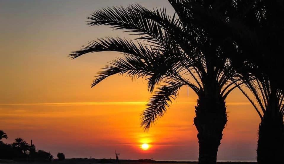 Casa Del Mar Leilighet Santa Pola Eksteriør bilde